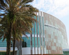 University of South Florida